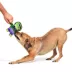 BARK Frankenstein Dog Toy image thumbnail 5