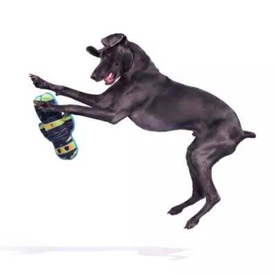 BARK Mummy Plush Dog Toy - Image 5
