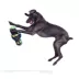 BARK Mummy Plush Dog Toy image thumbnail 5
