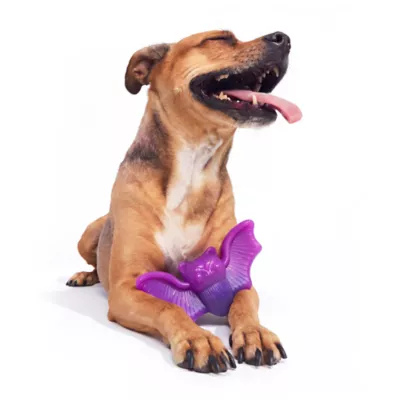 BARK Chewer Bat Dog Toy - Image 3