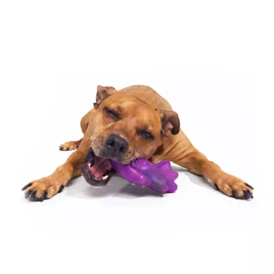 BARK Chewer Bat Dog Toy - Image 4