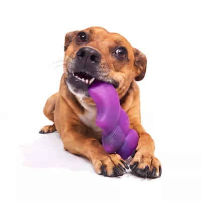 BARK Chewer Bat Dog Toy - Image 5