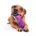 BARK Chewer Bat Dog Toy image thumbnail 5