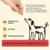 Plato Air-Dried Training Bites All Life Stages Dog Treats - Salmon, 6 oz image thumbnail 4