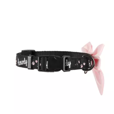 Thrills & Chills™ Halloween Howdy Dog Collar - Image 4