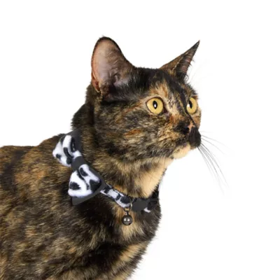 Thrills & Chills™ Halloween Cow Print Kitten & Cat Collar - Image 2