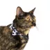 Thrills & Chills™ Halloween Cow Print Kitten & Cat Collar image thumbnail 2