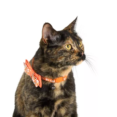 Thrills & Chills™ Halloween Ghost Kitten & Cat Collar - Image 2
