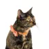 Thrills & Chills™ Halloween Ghost Kitten & Cat Collar image thumbnail 2