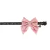 Thrills & Chills™ Halloween Howdy Kitten & Cat Collar image thumbnail 1