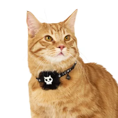 Thrills & Chills™ Halloween Skull Kitten & Cat Collar - Image 2