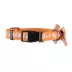 Thrills & Chills™ Halloween Ghost Dog Collar image thumbnail 4