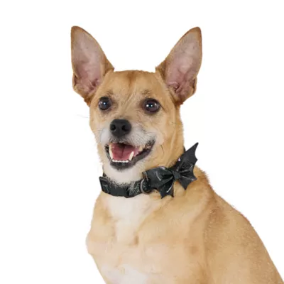 Thrills & Chills™ Halloween Bat Dog Collar - Image 2