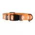 Thrills & Chills™ Halloween Skull Dog Collar image thumbnail 4