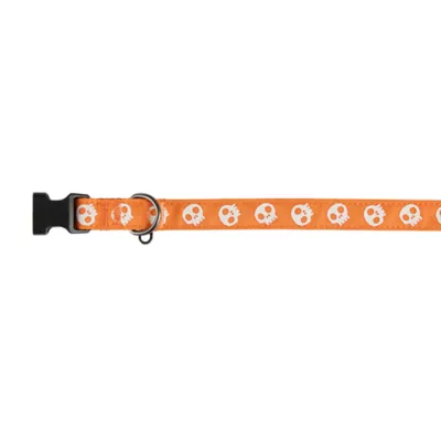 Thrills & Chills™ Halloween Skull Dog Collar - Image 1