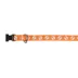Thrills & Chills™ Halloween Skull Dog Collar image thumbnail 1