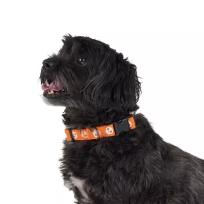 Thrills & Chills™ Halloween Skull Dog Collar - Image 2