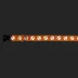 Thrills & Chills™ Halloween Skull Dog Collar image thumbnail 3
