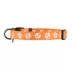 Thrills & Chills™ Halloween Skull Dog Collar image thumbnail 5