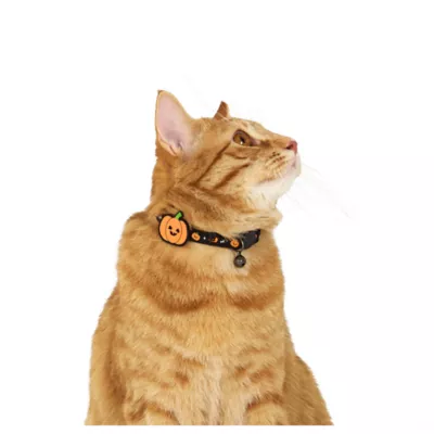 Thrills & Chills™ Halloween Pumpkin Kitten & Cat Collar - Image 2