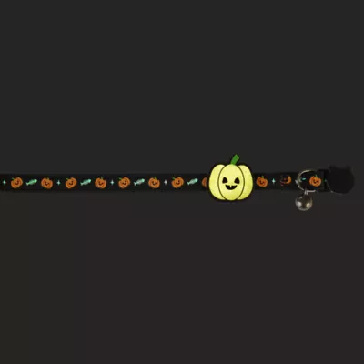 Thrills & Chills™ Halloween Pumpkin Kitten & Cat Collar - Image 3