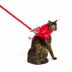 Thrills & Chills™ Halloween Devil Kitten & Cat Leash & Harness Combo image thumbnail 2