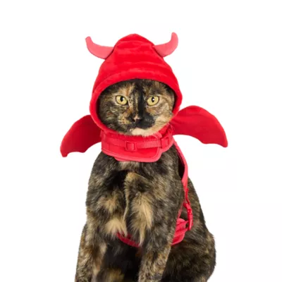 Thrills & Chills™ Halloween Devil Kitten & Cat Leash & Harness Combo - Image 3