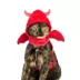 Thrills & Chills™ Halloween Devil Kitten & Cat Leash & Harness Combo image thumbnail 3