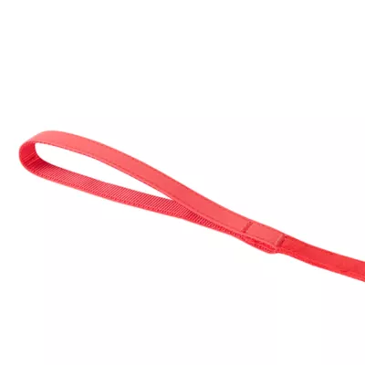 Thrills & Chills™ Halloween Devil Kitten & Cat Leash & Harness Combo - Image 8