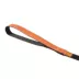 Thrills & Chills™ Halloween Spider Kitten & Cat Leash & Harness Combo image thumbnail 7