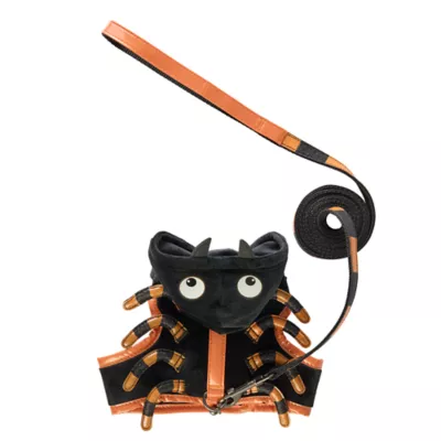 Thrills & Chills™ Halloween Spider Kitten & Cat Leash & Harness Combo - Image 1