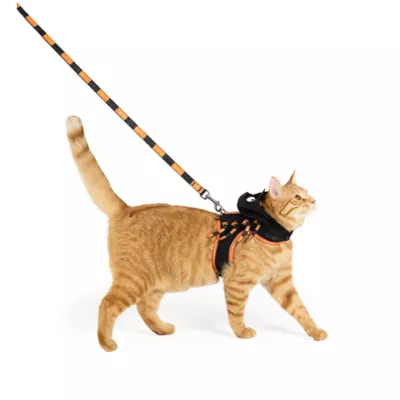 Thrills & Chills™ Halloween Spider Kitten & Cat Leash & Harness Combo - Image 2