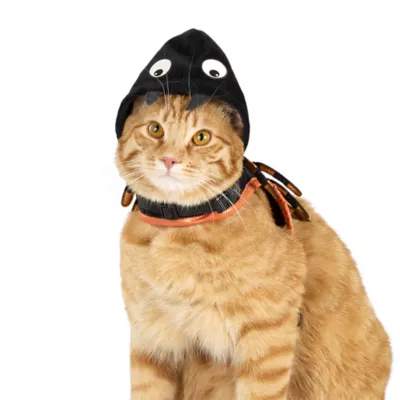 Thrills & Chills™ Halloween Spider Kitten & Cat Leash & Harness Combo - Image 3