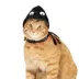 Thrills & Chills™ Halloween Spider Kitten & Cat Leash & Harness Combo image thumbnail 3