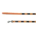 Thrills & Chills™ Halloween Spider Kitten & Cat Leash & Harness Combo image thumbnail 7