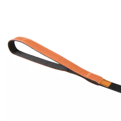 Thrills & Chills™ Halloween Spider Kitten & Cat Leash & Harness Combo - Image 8
