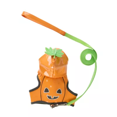Thrills & Chills™ Halloween Pumpkin Kitten & Cat Leash & Harness Combo - Image 1