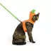 Thrills & Chills™ Halloween Pumpkin Kitten & Cat Leash & Harness Combo image thumbnail 2