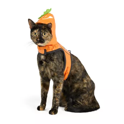 Thrills & Chills™ Halloween Pumpkin Kitten & Cat Leash & Harness Combo - Image 3