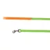 Thrills & Chills™ Halloween Pumpkin Kitten & Cat Leash & Harness Combo image thumbnail 7