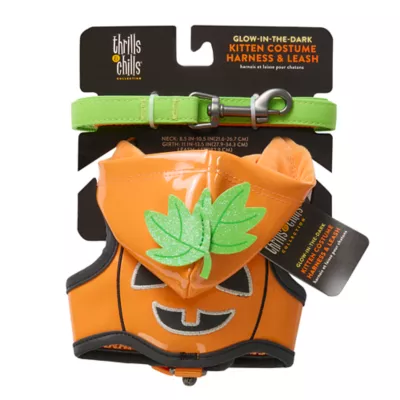 Thrills & Chills™ Halloween Pumpkin Kitten & Cat Leash & Harness Combo - Image 9