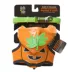 Thrills & Chills™ Halloween Pumpkin Kitten & Cat Leash & Harness Combo image thumbnail 9