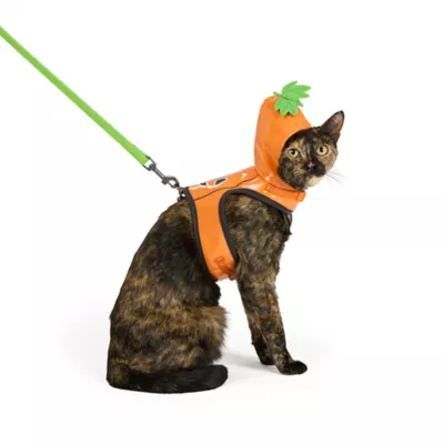 Thrills & Chills™ Halloween Pumpkin Kitten & Cat Leash & Harness Combo - Image 2