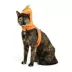 Thrills & Chills™ Halloween Pumpkin Kitten & Cat Leash & Harness Combo image thumbnail 3