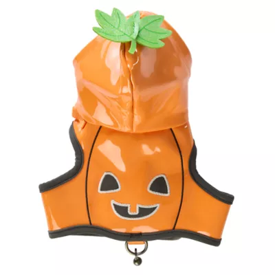 Thrills & Chills™ Halloween Pumpkin Kitten & Cat Leash & Harness Combo - Image 5