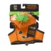 Thrills & Chills™ Halloween Pumpkin Kitten & Cat Leash & Harness Combo image thumbnail 9