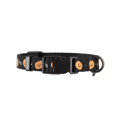 Thrills & Chills™ Halloween Pumpkin Dog Collar - Image 4