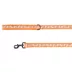 Thrills & Chills™ Halloween Ghost Dog Leash image thumbnail 1
