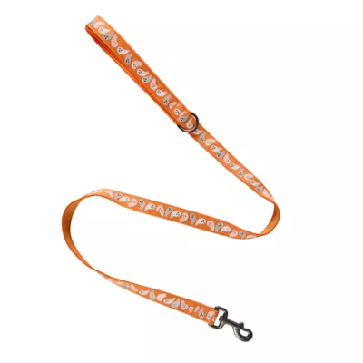 Thrills & Chills™ Halloween Ghost Dog Leash - Image 4