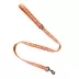 Thrills & Chills™ Halloween Ghost Dog Leash image thumbnail 4